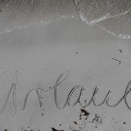 Mit Meerblick, Balkon Und Kamin Ofc 06 公寓