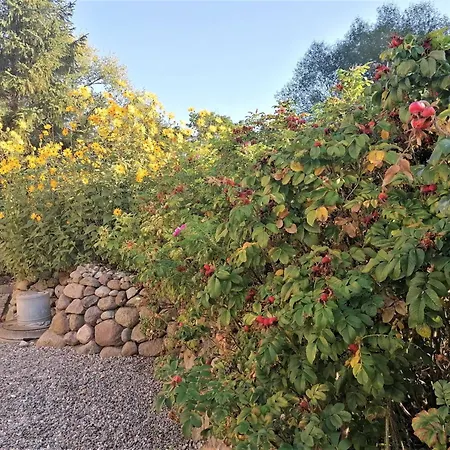 Mit Meerblick, Balkon Und Kamin Ofc 06 Lägenhet
